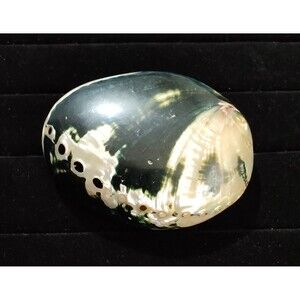 Vintage Abalone Shell Belt Buckle Beautiful Artisan Made Iridescent Bohemian